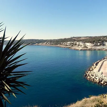 Belvedere Bed & Breakfast 3*