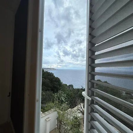 Bed & Breakfast Belvedere